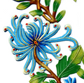 Decor, Blue Bird Door Wreath Haitian Metal Drum Wall Art - Haitian Artisans